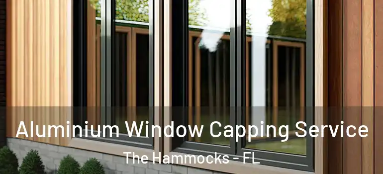  Aluminium Window Capping Service The Hammocks - FL
