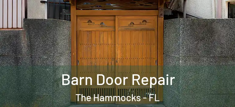  Barn Door Repair The Hammocks - FL