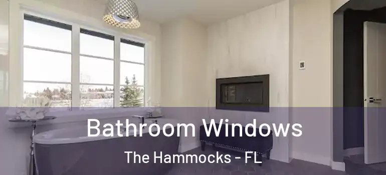  Bathroom Windows The Hammocks - FL