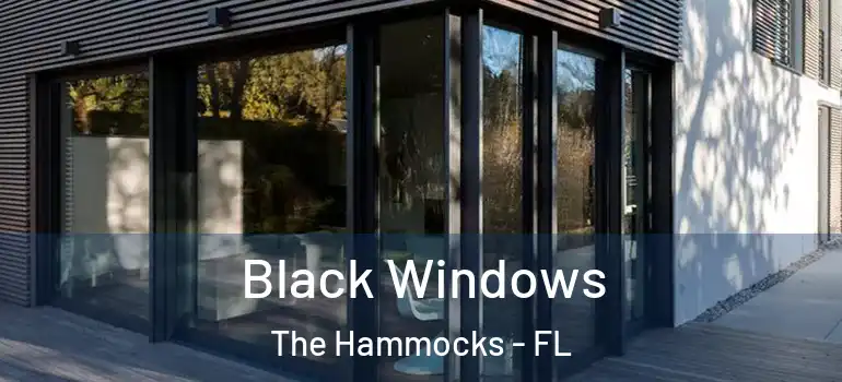  Black Windows The Hammocks - FL