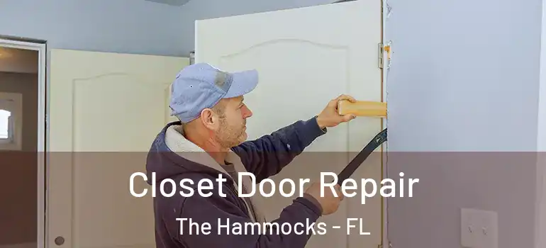  Closet Door Repair The Hammocks - FL