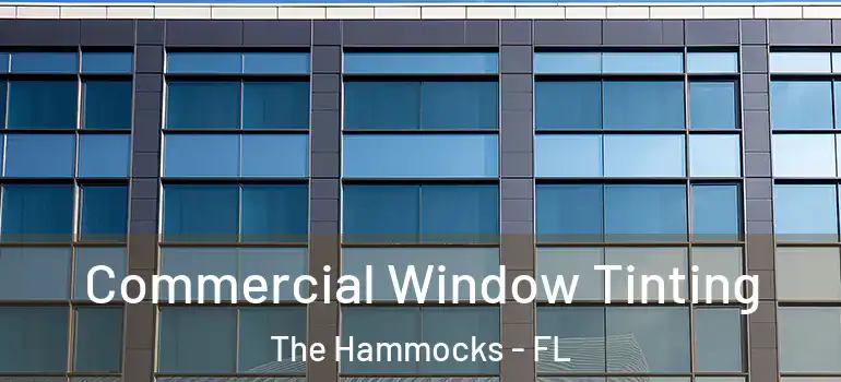  Commercial Window Tinting The Hammocks - FL