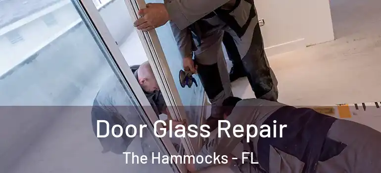  Door Glass Repair The Hammocks - FL