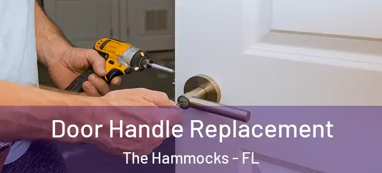  Door Handle Replacement The Hammocks - FL