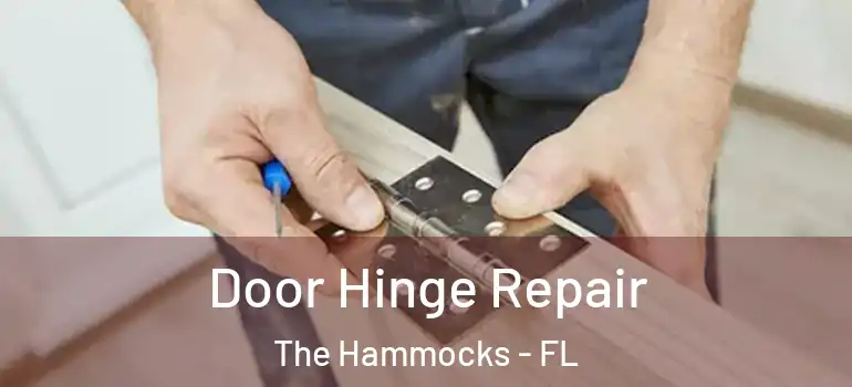  Door Hinge Repair The Hammocks - FL