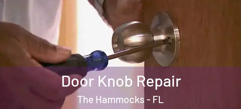  Door Knob Repair The Hammocks - FL