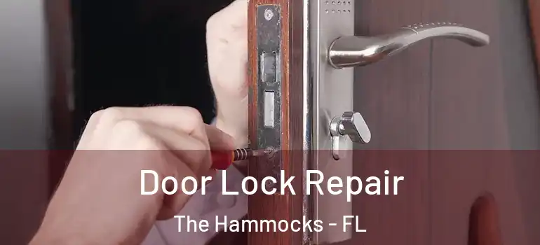  Door Lock Repair The Hammocks - FL