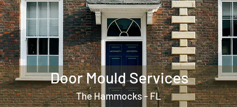  Door Mould Services The Hammocks - FL