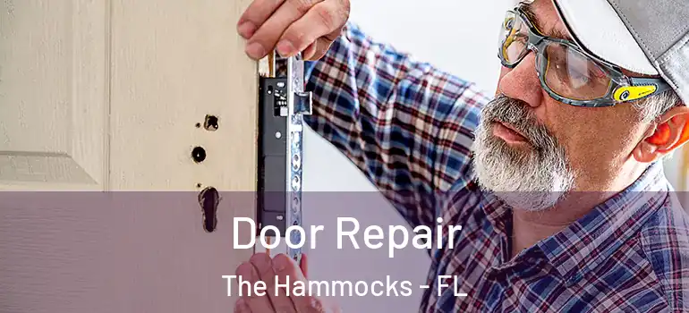  Door Repair The Hammocks - FL
