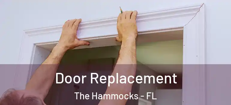  Door Replacement The Hammocks - FL