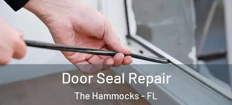  Door Seal Repair The Hammocks - FL