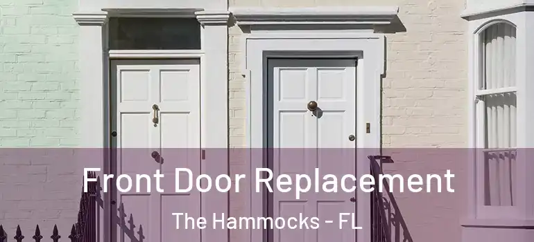  Front Door Replacement The Hammocks - FL