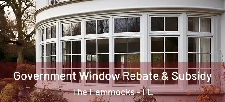  Government Window Rebate & Subsidy The Hammocks - FL