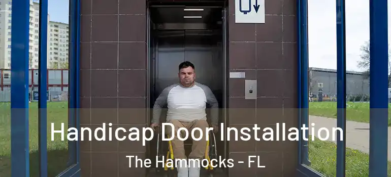  Handicap Door Installation The Hammocks - FL