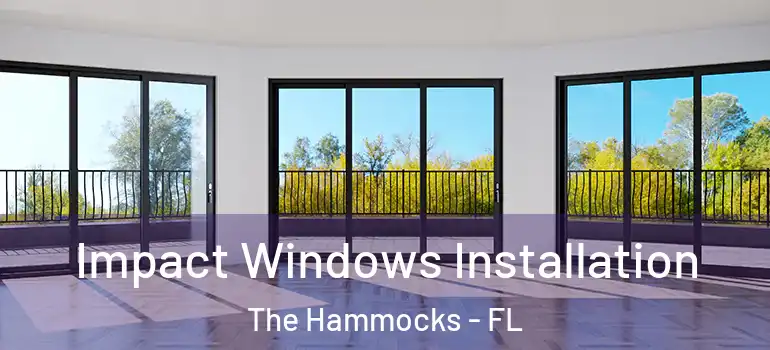  Impact Windows Installation The Hammocks - FL