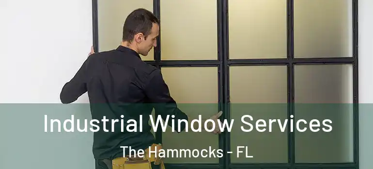  Industrial Window Services The Hammocks - FL