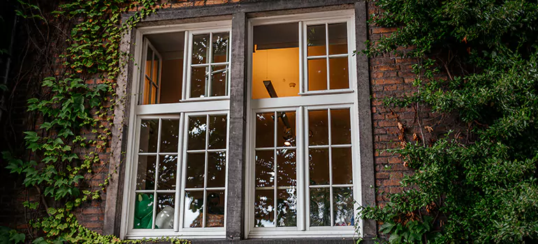 Energy Efficient Wood Windows in The Hammocks, FL