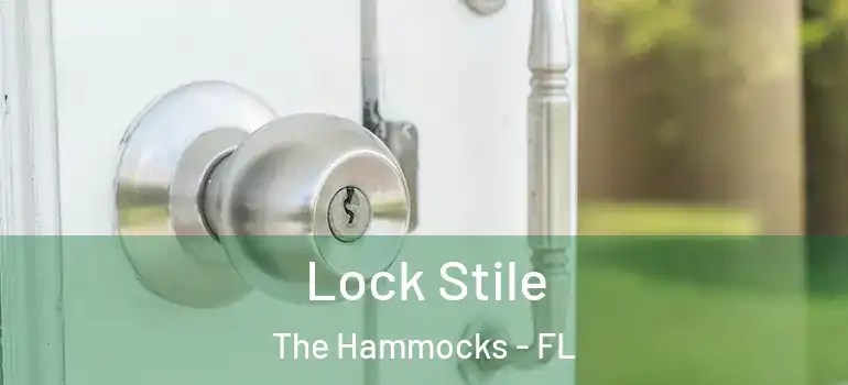  Lock Stile The Hammocks - FL
