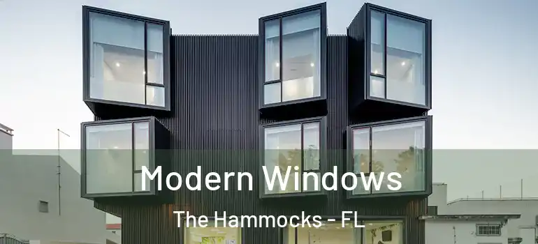  Modern Windows The Hammocks - FL