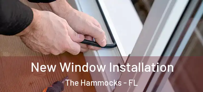  New Window Installation The Hammocks - FL