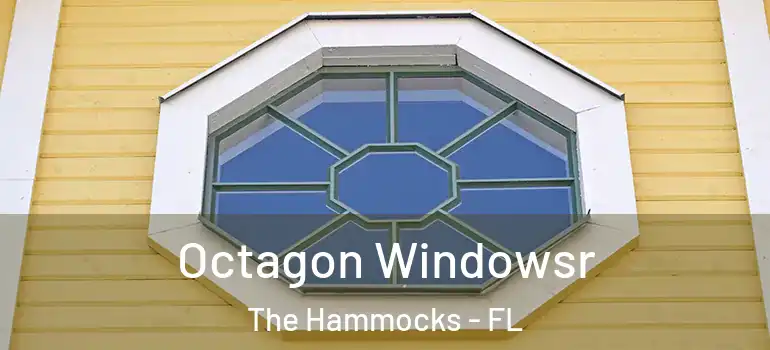  Octagon Windowsr The Hammocks - FL