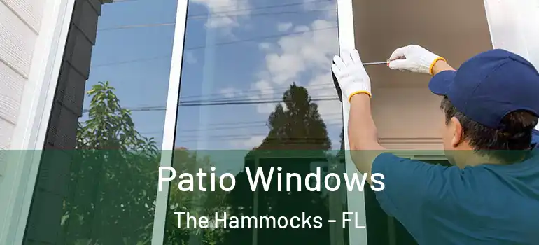  Patio Windows The Hammocks - FL