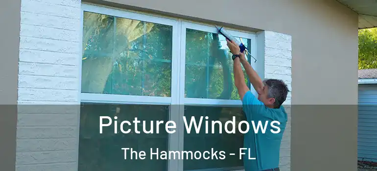  Picture Windows The Hammocks - FL