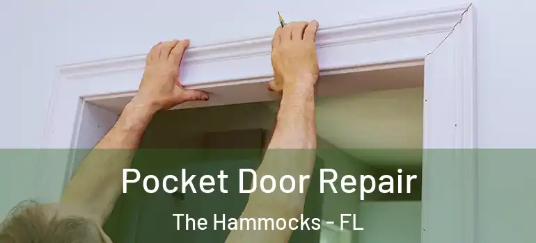  Pocket Door Repair The Hammocks - FL