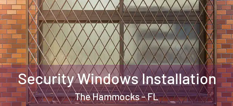  Security Windows Installation The Hammocks - FL