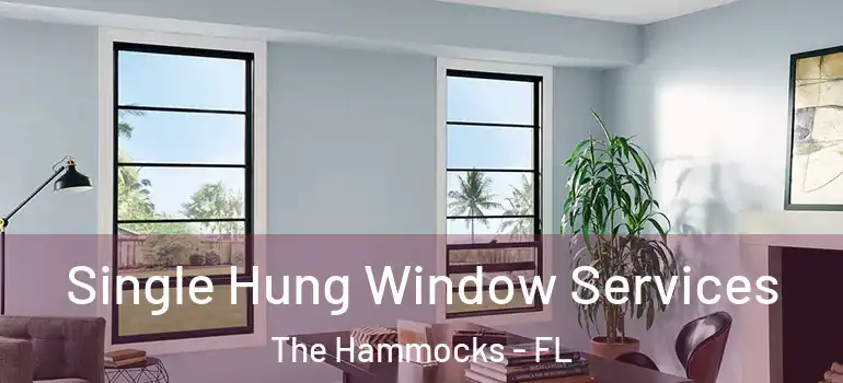  Single Hung Window Services The Hammocks - FL