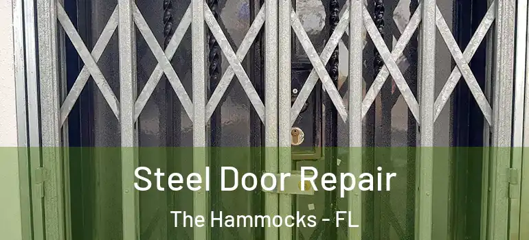  Steel Door Repair The Hammocks - FL
