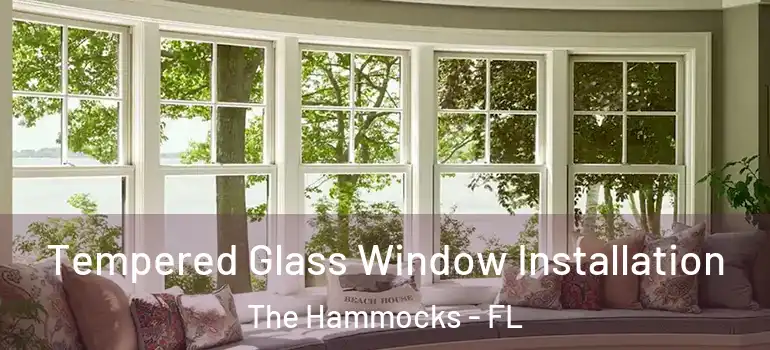  Tempered Glass Window Installation The Hammocks - FL