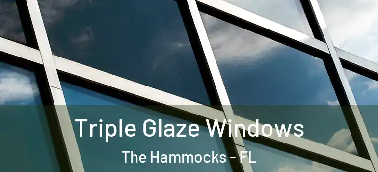  Triple Glaze Windows The Hammocks - FL