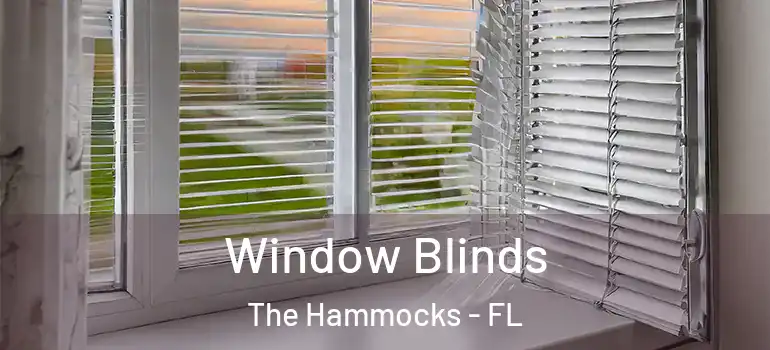  Window Blinds The Hammocks - FL