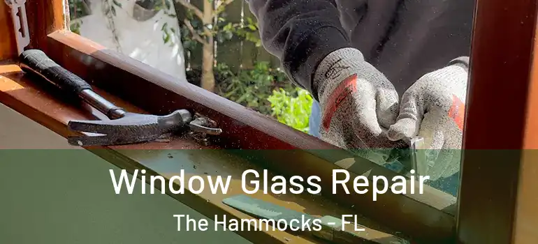  Window Glass Repair The Hammocks - FL