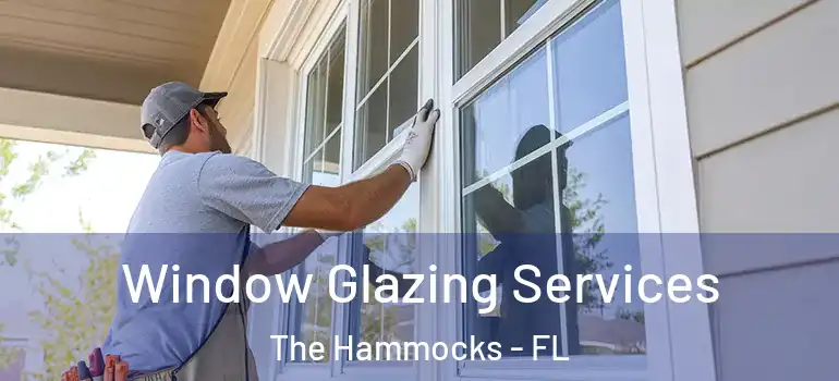  Window Glazing Services The Hammocks - FL