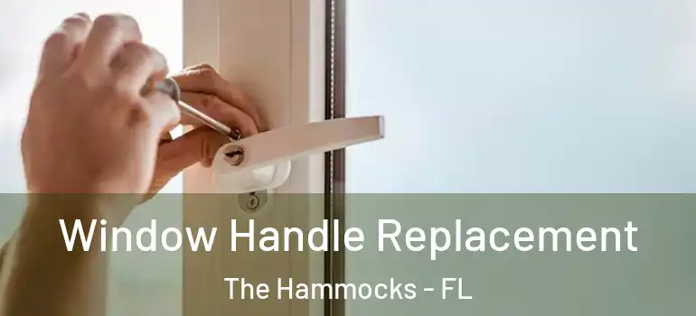  Window Handle Replacement The Hammocks - FL