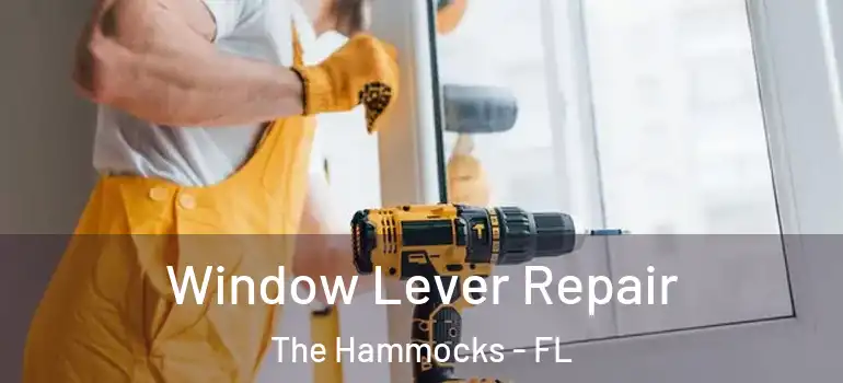  Window Lever Repair The Hammocks - FL