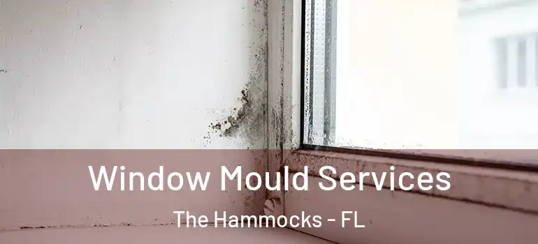  Window Mould Services The Hammocks - FL