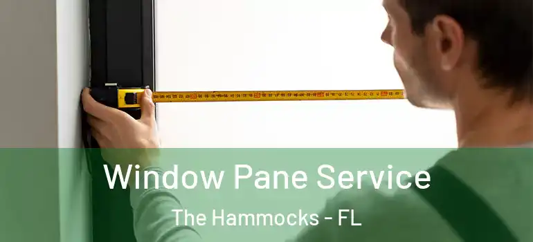  Window Pane Service The Hammocks - FL
