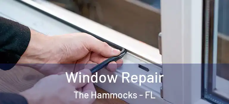  Window Repair The Hammocks - FL