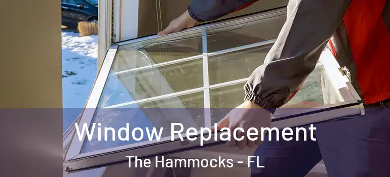  Window Replacement The Hammocks - FL